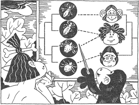 Иллюстрация к книге — Странная обезьяна. Куда делась шерсть и почему люди разного цвета [i_020.jpg]