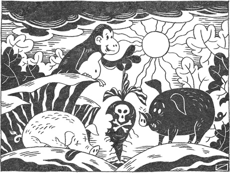 Иллюстрация к книге — Странная обезьяна. Куда делась шерсть и почему люди разного цвета [i_051.jpg]