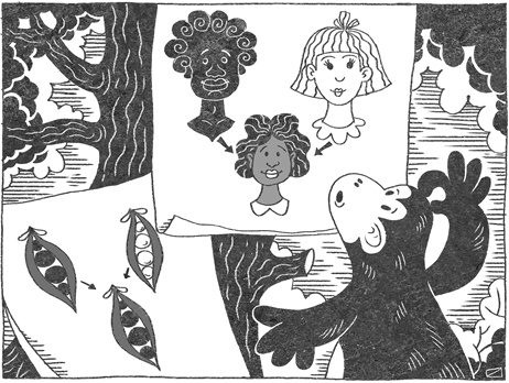 Иллюстрация к книге — Странная обезьяна. Куда делась шерсть и почему люди разного цвета [i_067.jpg]