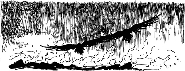 Иллюстрация к книге — Хроники Люциферазы. Три корабля [i_017.jpg]