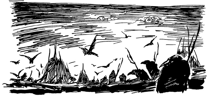 Иллюстрация к книге — Хроники Люциферазы. Три корабля [i_018.jpg]