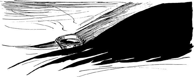 Иллюстрация к книге — Хроники Люциферазы. Три корабля [i_021.jpg]