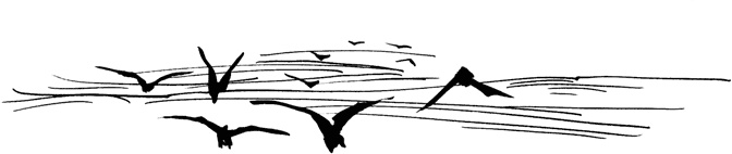 Иллюстрация к книге — Хроники Люциферазы. Три корабля [i_023.jpg]