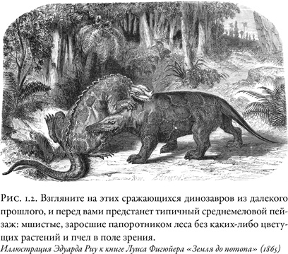 Иллюстрация к книге — Жужжащие. Естественная история пчёл [i_008.jpg]