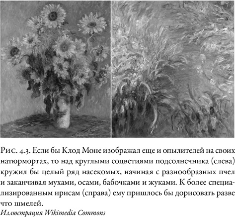 Иллюстрация к книге — Жужжащие. Естественная история пчёл [i_023.jpg]