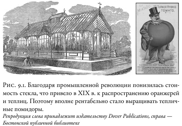 Иллюстрация к книге — Жужжащие. Естественная история пчёл [i_043.jpg]