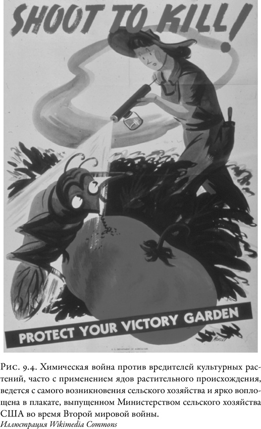 Иллюстрация к книге — Жужжащие. Естественная история пчёл [i_046.jpg]