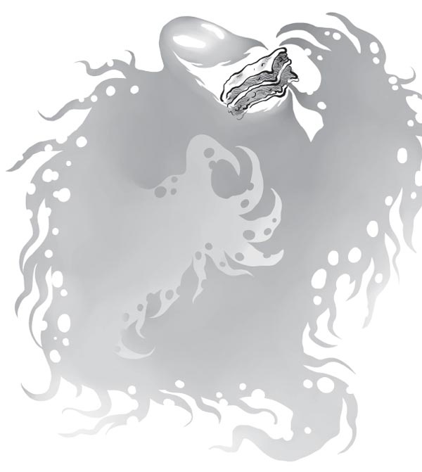 Иллюстрация к книге — Охотники за призраками. Новоселье с привидениями [i_091.jpg]