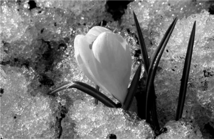 Иллюстрация к книге — Здравому смыслу вопреки. Парадоксальные решения в рекламе, бизнесе и жизни [b00000529.jpg]