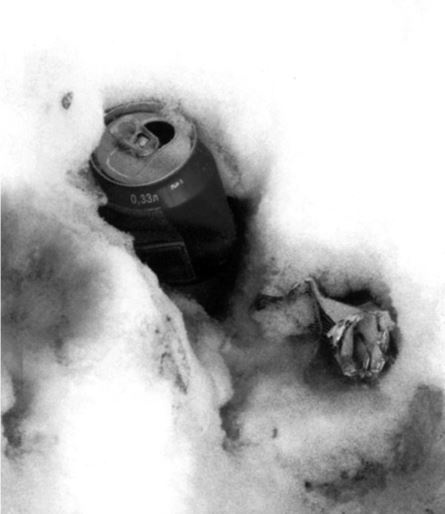 Иллюстрация к книге — Здравому смыслу вопреки. Парадоксальные решения в рекламе, бизнесе и жизни [b00000531.jpg]