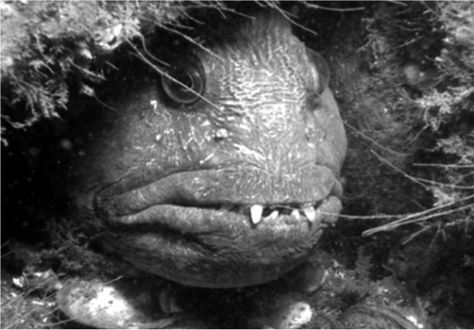 Иллюстрация к книге — Здравому смыслу вопреки. Парадоксальные решения в рекламе, бизнесе и жизни [b00001412.jpg]