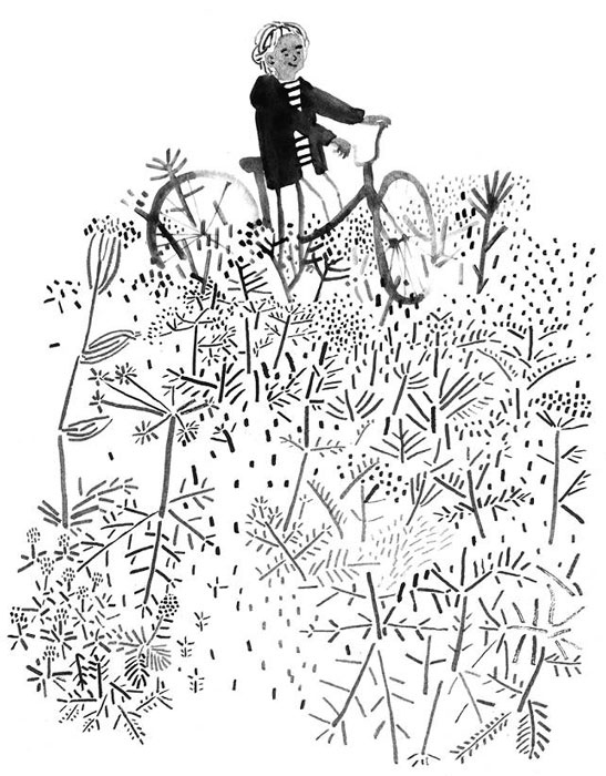 Иллюстрация к книге — Никита ищет море [i_032.jpg]