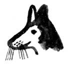 Иллюстрация к книге — Никита ищет море [i_046.jpg]