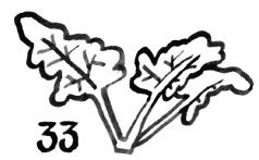 Иллюстрация к книге — Никита ищет море [i_051.jpg]