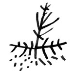 Иллюстрация к книге — Никита ищет море [i_085.jpg]