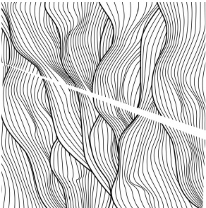 Иллюстрация к книге — Коготок Большого Взрыва [i_015.jpg]