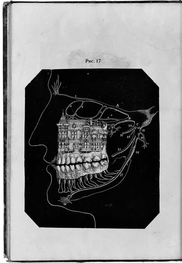 Иллюстрация к книге — Путь избавления. Школа странных детей [i_069.jpg]