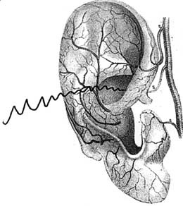 Иллюстрация к книге — Путь избавления. Школа странных детей [i_097.jpg]
