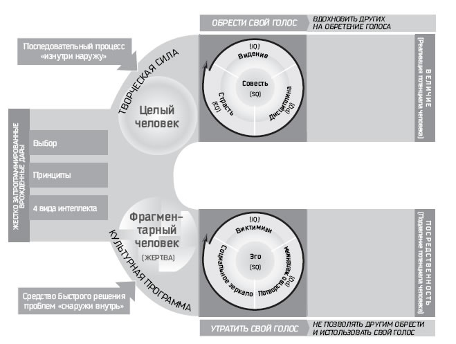 Иллюстрация к книге — Восьмой навык. От эффективности к величию [i_014.jpg]