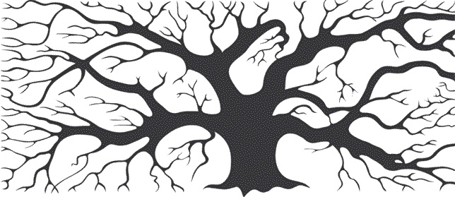 Иллюстрация к книге — Обойдемся без педагогики. Книга для родителей, которые хотят воспитывать детей самостоятельно [i_001.jpg]