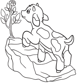 Иллюстрация к книге — Обойдемся без педагогики. Книга для родителей, которые хотят воспитывать детей самостоятельно [i_005.jpg]