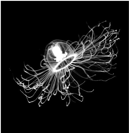 Иллюстрация к книге — Здоровье и красивая фигура после 50 [i_001.jpg]