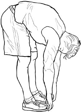 Иллюстрация к книге — Здоровье и красивая фигура после 50 [i_019.jpg]