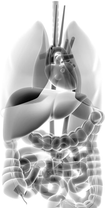 Иллюстрация к книге — Здоровье и красивая фигура после 50 [i_031.jpg]