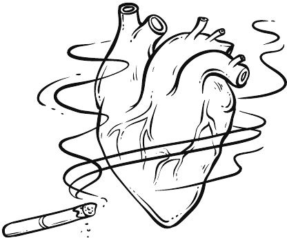 Иллюстрация к книге — Здоровье и красивая фигура после 50 [i_037.jpg]