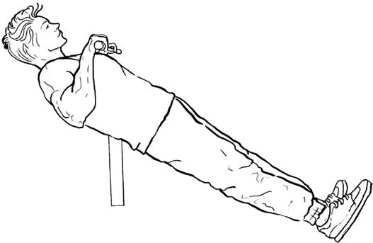 Иллюстрация к книге — Здоровье и красивая фигура после 50 [i_041.jpg]