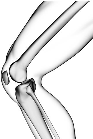 Иллюстрация к книге — Здоровье и красивая фигура после 50 [i_043.jpg]