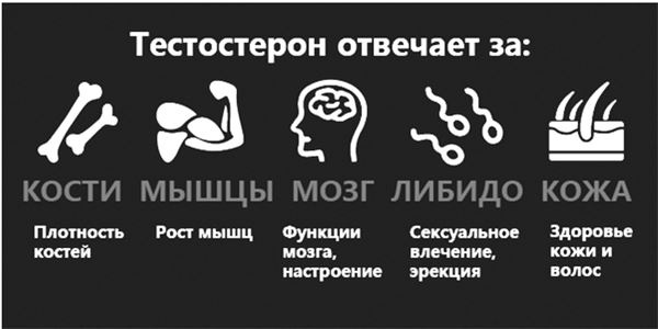 Иллюстрация к книге — Здоровье и красивая фигура после 50 [i_068.jpg]