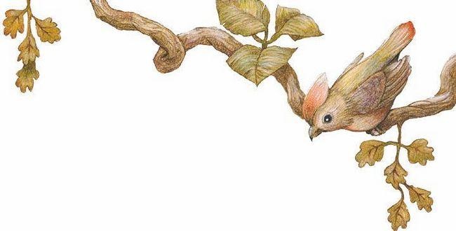 Иллюстрация к книге — В сонном-сонном лесу… Сказки для засыпания [i_001.jpg]