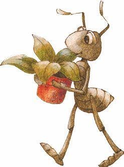 Иллюстрация к книге — В сонном-сонном лесу… Сказки для засыпания [i_014.jpg]