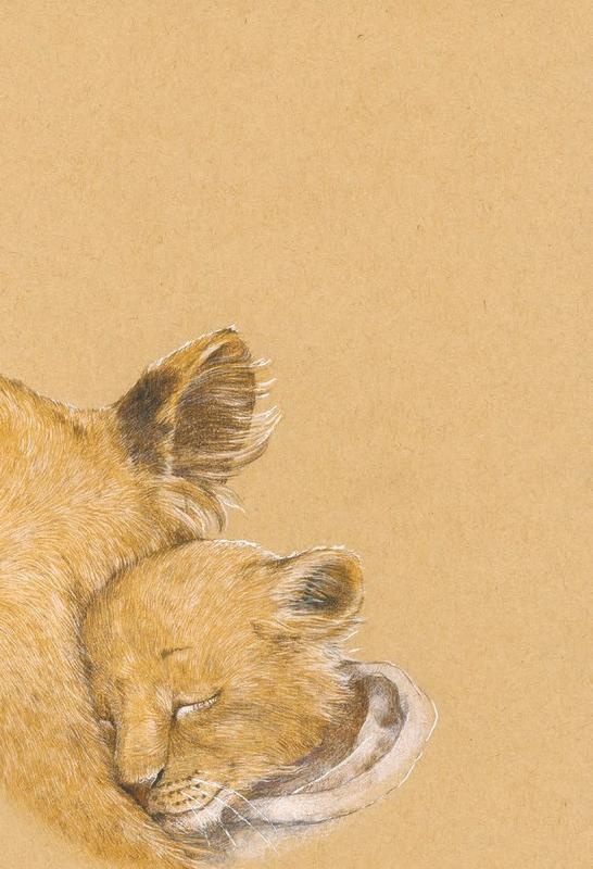 Иллюстрация к книге — В сонном-сонном лесу… Сказки для засыпания [i_025.jpg]