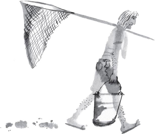 Иллюстрация к книге — Брат-юннат [i_001.jpg]