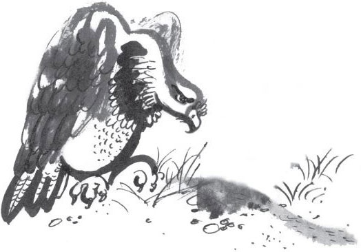 Иллюстрация к книге — Брат-юннат [i_005.jpg]