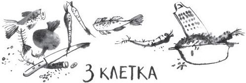 Иллюстрация к книге — Брат-юннат [i_006.jpg]