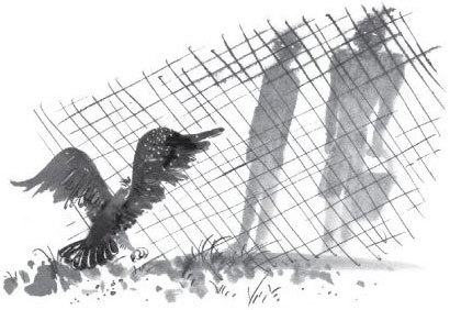 Иллюстрация к книге — Брат-юннат [i_007.jpg]