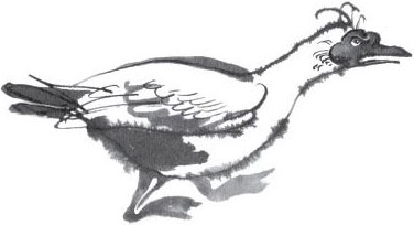 Иллюстрация к книге — Брат-юннат [i_010.jpg]