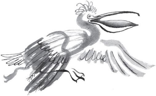 Иллюстрация к книге — Брат-юннат [i_013.jpg]