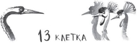 Иллюстрация к книге — Брат-юннат [i_030.jpg]