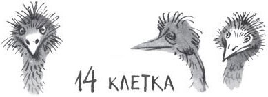 Иллюстрация к книге — Брат-юннат [i_032.jpg]