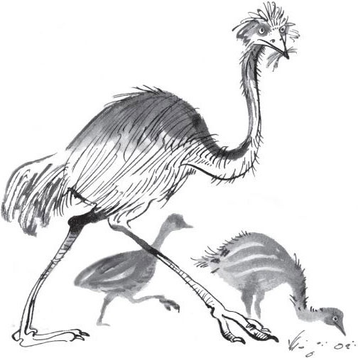 Иллюстрация к книге — Брат-юннат [i_033.jpg]