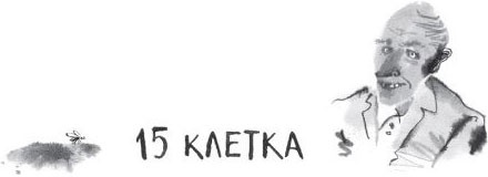 Иллюстрация к книге — Брат-юннат [i_034.jpg]