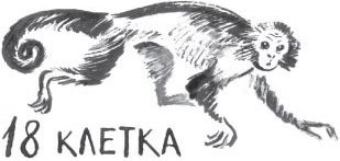 Иллюстрация к книге — Брат-юннат [i_040.jpg]