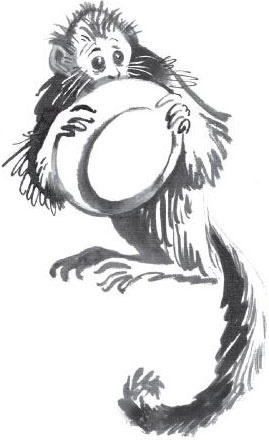 Иллюстрация к книге — Брат-юннат [i_042.jpg]