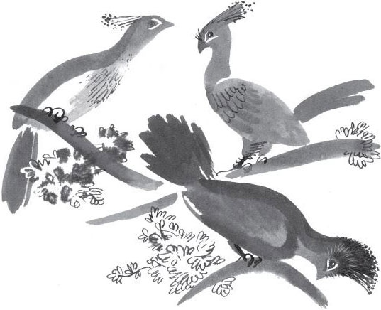 Иллюстрация к книге — Брат-юннат [i_044.jpg]