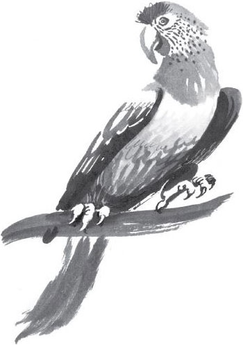 Иллюстрация к книге — Брат-юннат [i_045.jpg]