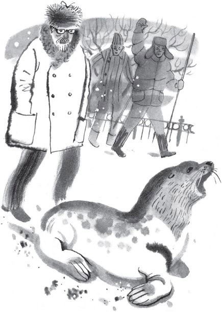 Иллюстрация к книге — Брат-юннат [i_047.jpg]